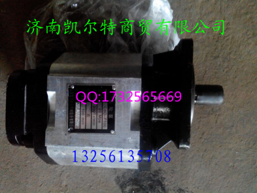 重汽斯太爾，豪沃,金王子齒輪泵CBD-F100/