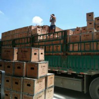 濰柴心組件（四配套）612600900075A