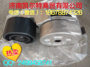 供應(yīng)中國(guó)重汽漲緊輪26300060313  濟(jì)南凱爾特/VG2600060313