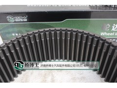HFF2405041CK2BZ,輪邊內(nèi)齒圈,濟南橋博士汽車配件有限公司