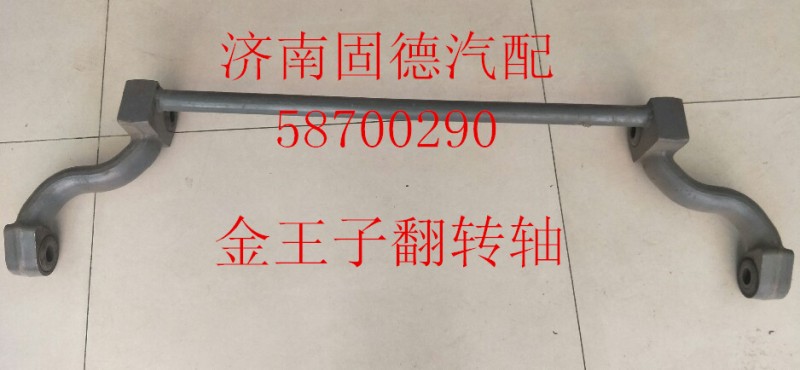 金王子翻轉(zhuǎn)軸AZ1608434020/AZ1608434020
