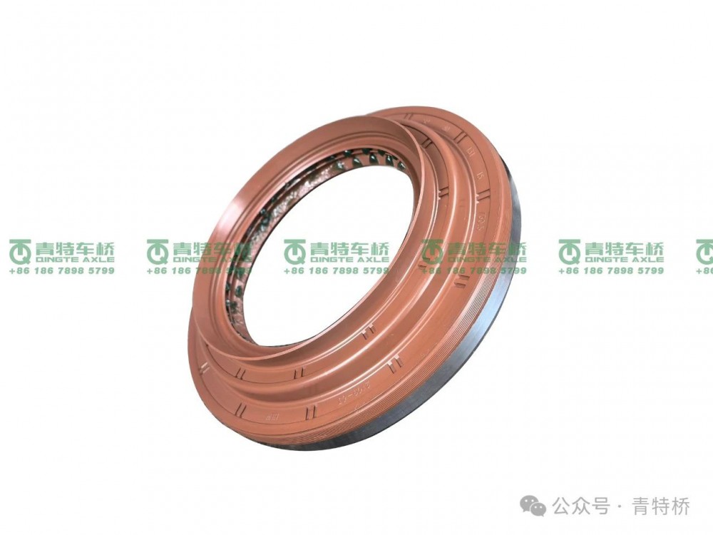 微信圖片_20250611150740