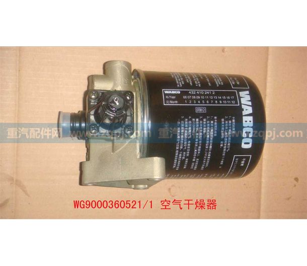 WG9000360521